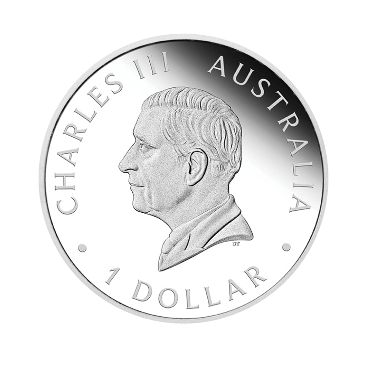 1 troy ounce silver coin Kangaroo 2024 Proof back