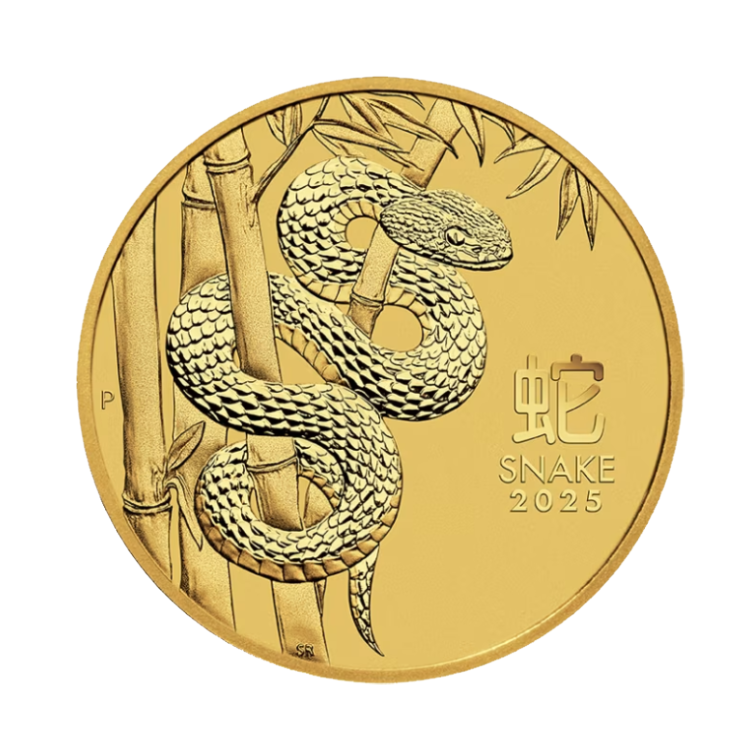 10 oz Lunar Gold Coin 2025 front