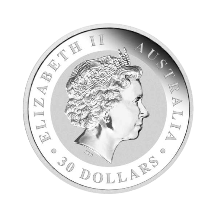 1 kilo Koala Silver Coin 2010 back